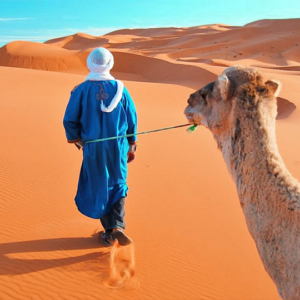 Excursión De 10 Días A Marruecos Desde Casablanca Al Desierto Del Sahara