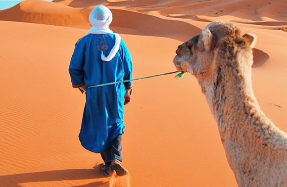 Excursión De 10 Días A Marruecos Desde Casablanca Al Desierto Del Sahara