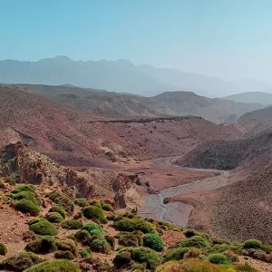 Experiencia de Trekking de 8 Días en el Macizo Volcánico de Siroua