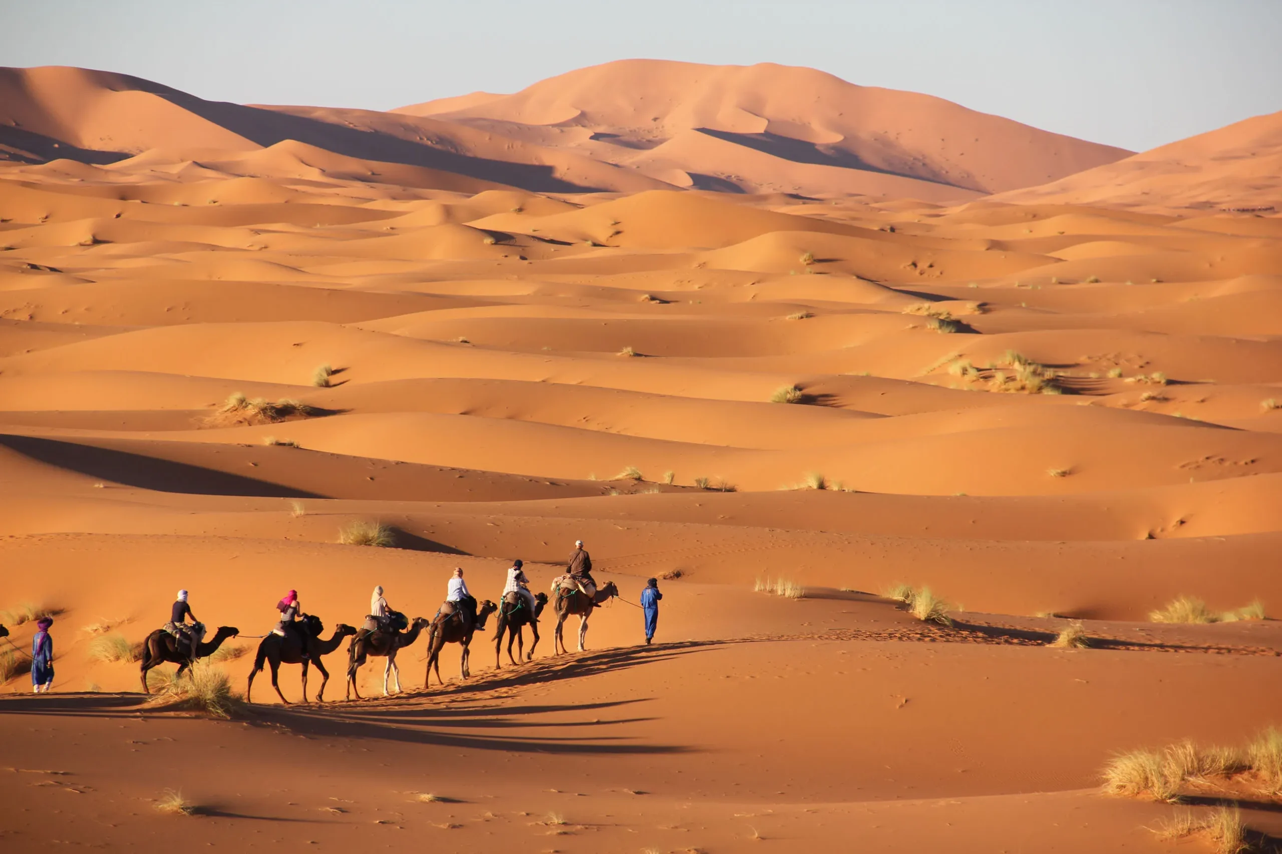 Desierto Merzouga Sahara Marruecos.webp