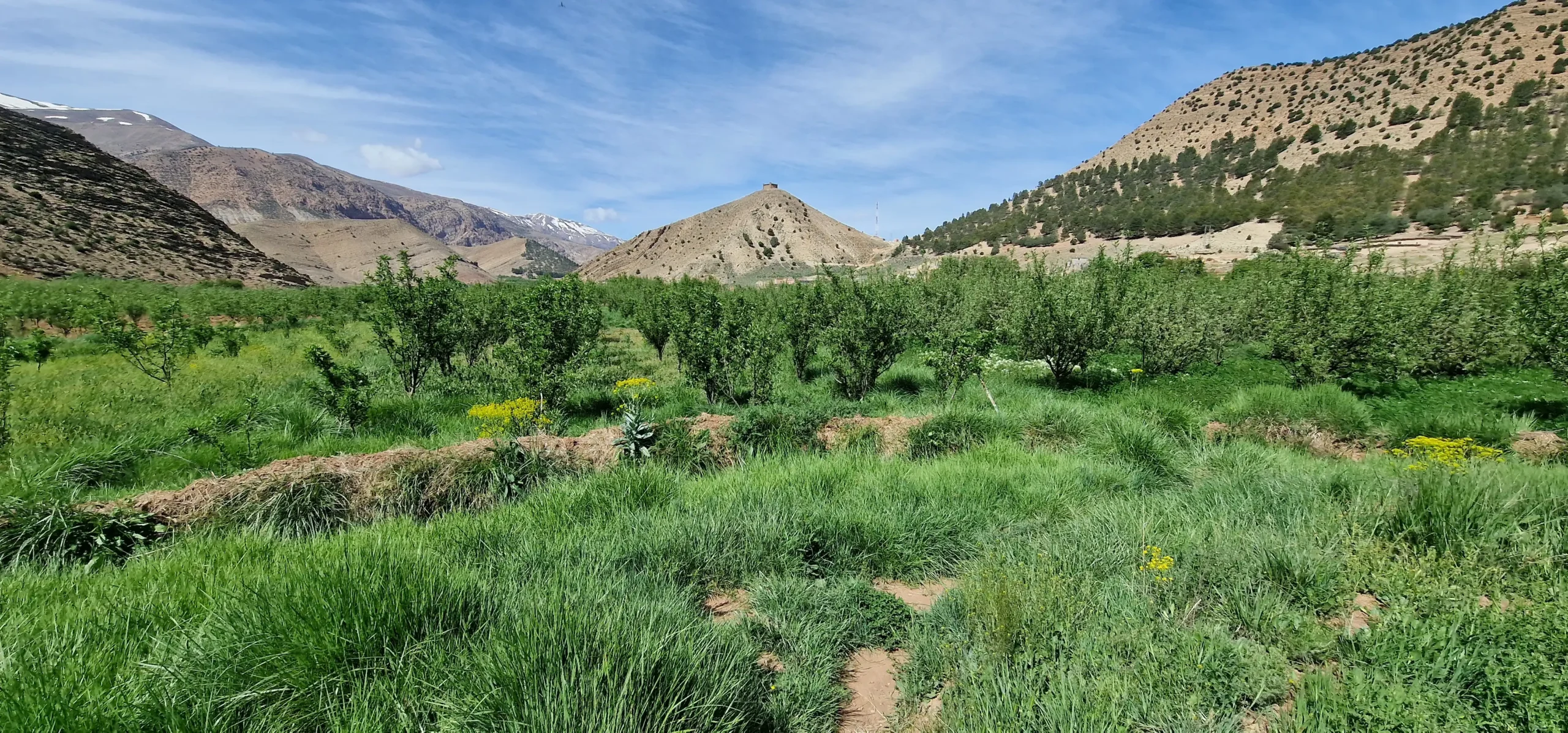 Trekking Valle Feliz Marruecos 1.webp